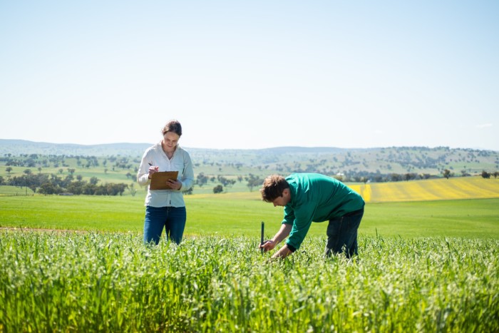 Brooke Bruning și Sam Morris de la Loam studiază solul. Pentru fiecare creștere cu 1% a carbonului din sol, un acru de teren poate reține 25.000 de galoane de apă în plus, ajutând productivitatea și sănătatea plantelor