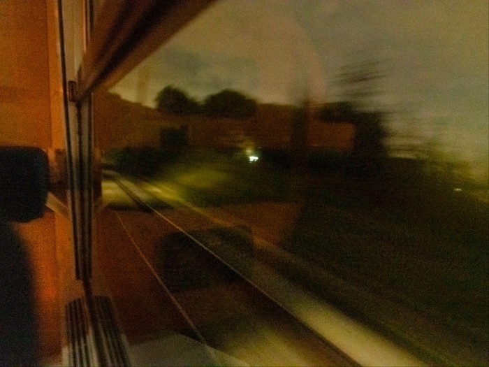 O priveliște neclară a copacilor văzută de la fereastra unui tren, și imagini reflectate în sticlă