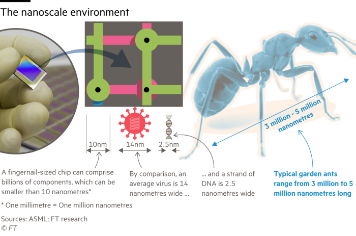 Diagramă care oferă o idee despre scara obiectelor de dimensiuni nanometrice de pe un cip de siliciu, comparându-le cu un virus, un fir de ADN și o furnică de grădină 