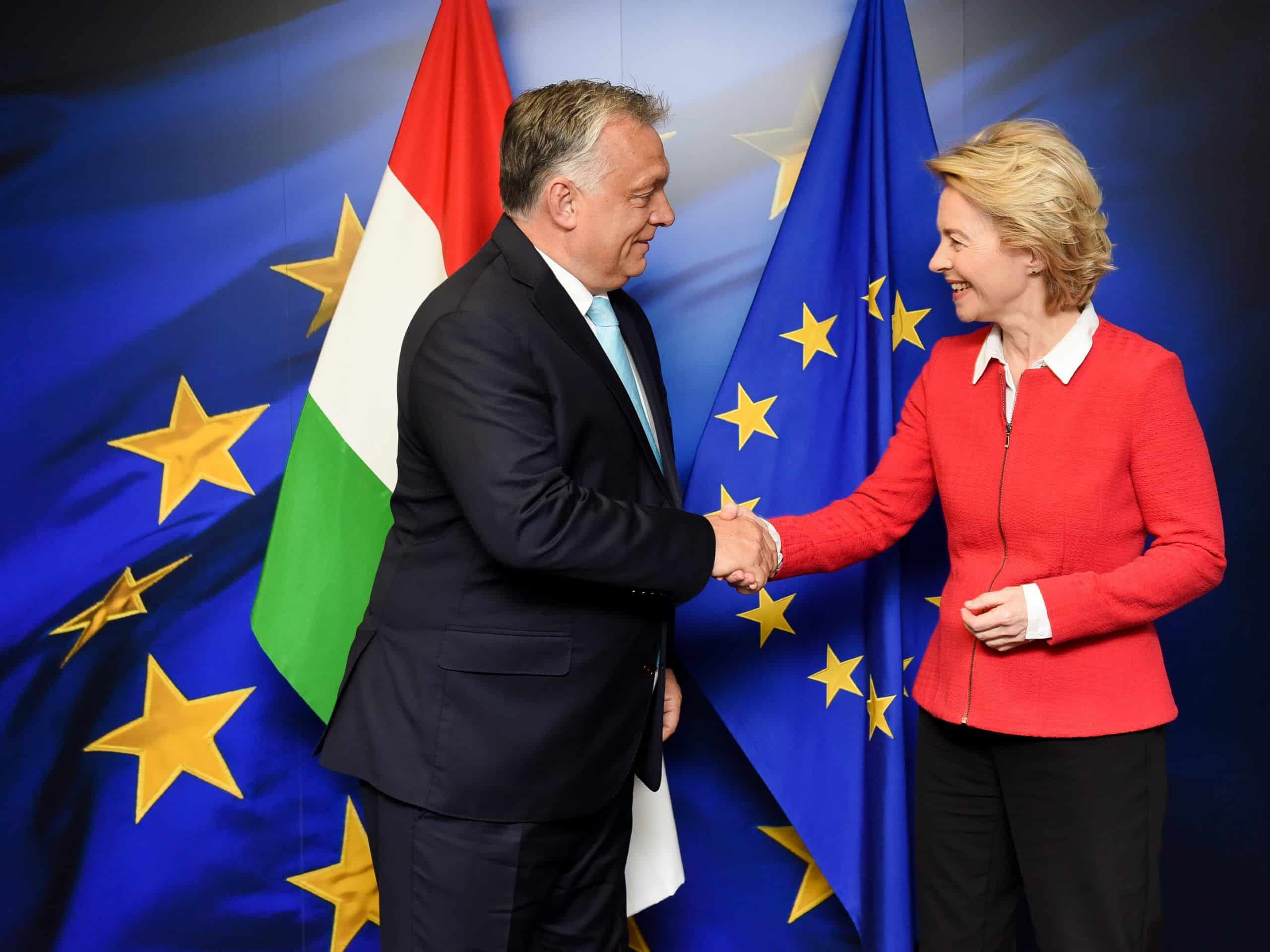 Premierul ungar Viktor Orban a participat miercuri la o videoconferinţă cu omologul său polonez Mateusz Morawiecki şi cu liderul partidului italian Liga, Matteo Salvini