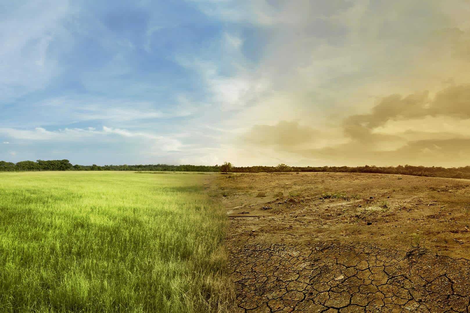 Schimbări climatice: promisiunile vor însemna reducerea încălzirii globale cu 2,4C