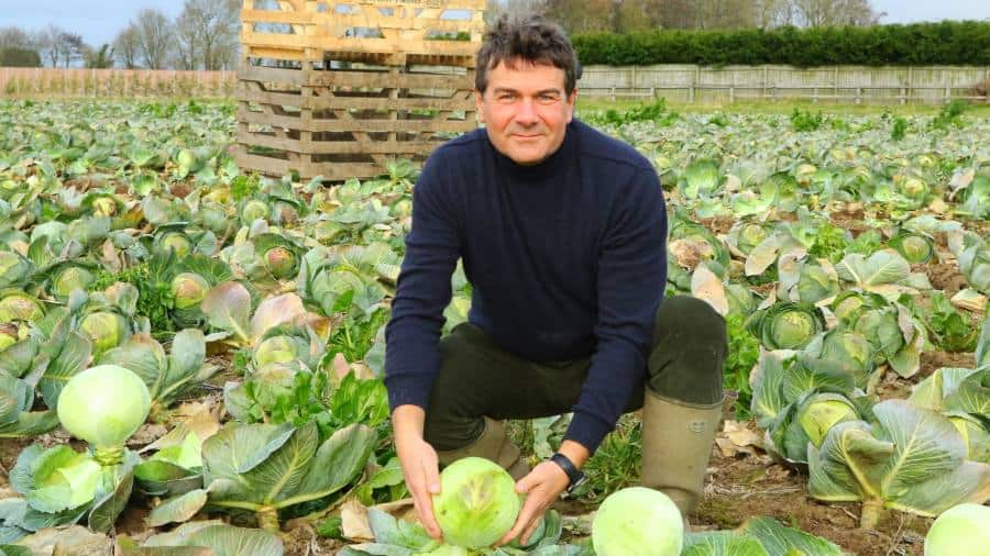 În Marea Britanie, „Regele verzei” se orientează către proteine ​​pe bază de plante