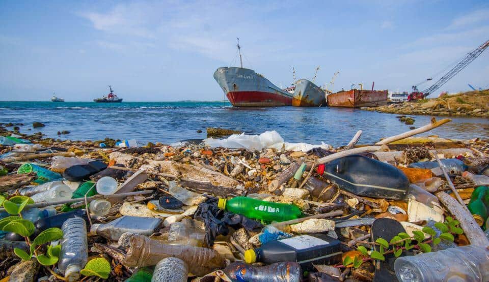 Cei mai des întâlniţi poluanţi în ape şi zone de coastă
