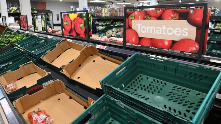 Importurile de salată din Marea Britanie „au scăzut la jumătate”, avertizează cultivatorii englezi