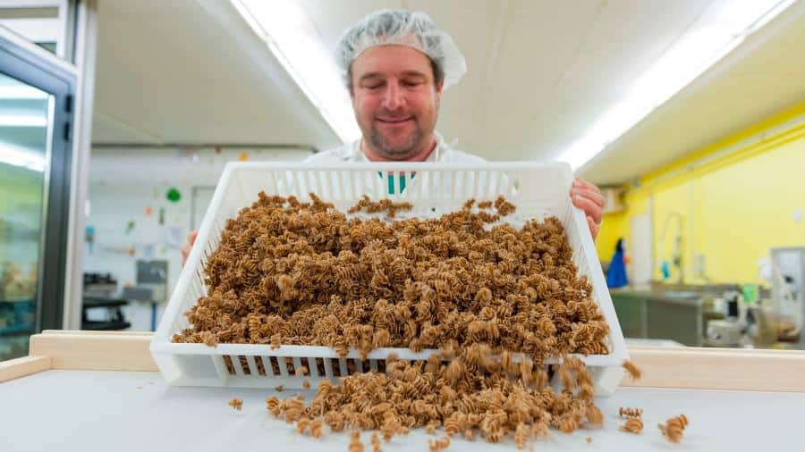 Italia rezistă gustului pentru insectele comestibile