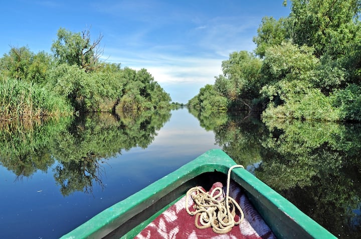 Biodiversitatea Deltei Dunării nu a fost încă afectată de dragarea Bystroye, susține un ministru