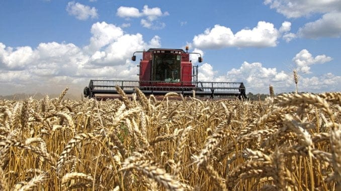 Invazia rusă riscă să reducă la jumătate recolta de cereale în Ucraina, crucială pentru alimentaţia mondială
