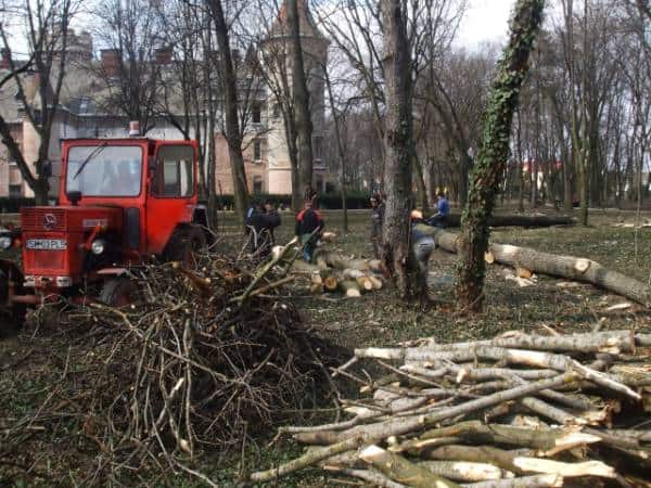 Bucureștiul a pierdut câteva hectare de spațiu verde, în acest an
