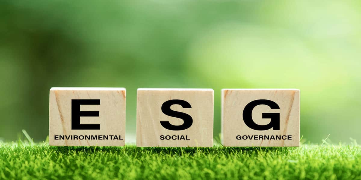 Care sunt provocările în investițiile de mediu, sociale și de guvernanță corporativă (ESG)