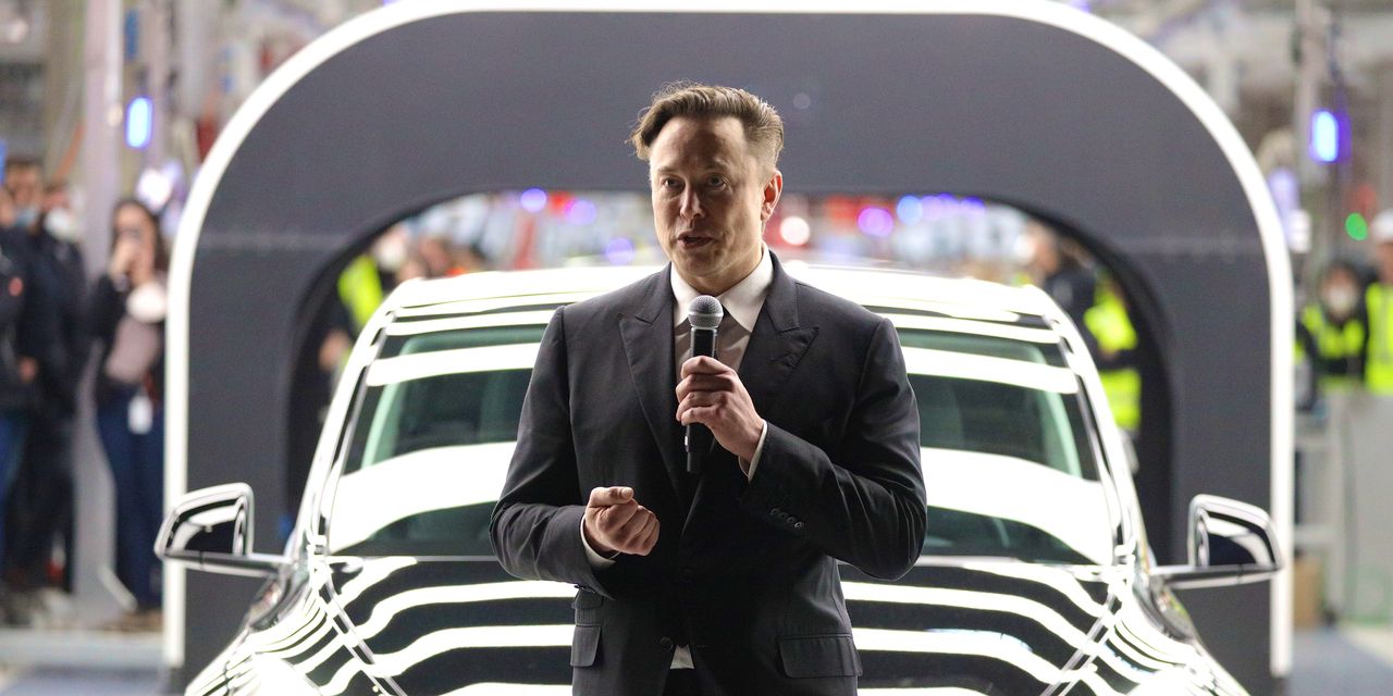 Elon Musk de la Tesla se asteapta la un an