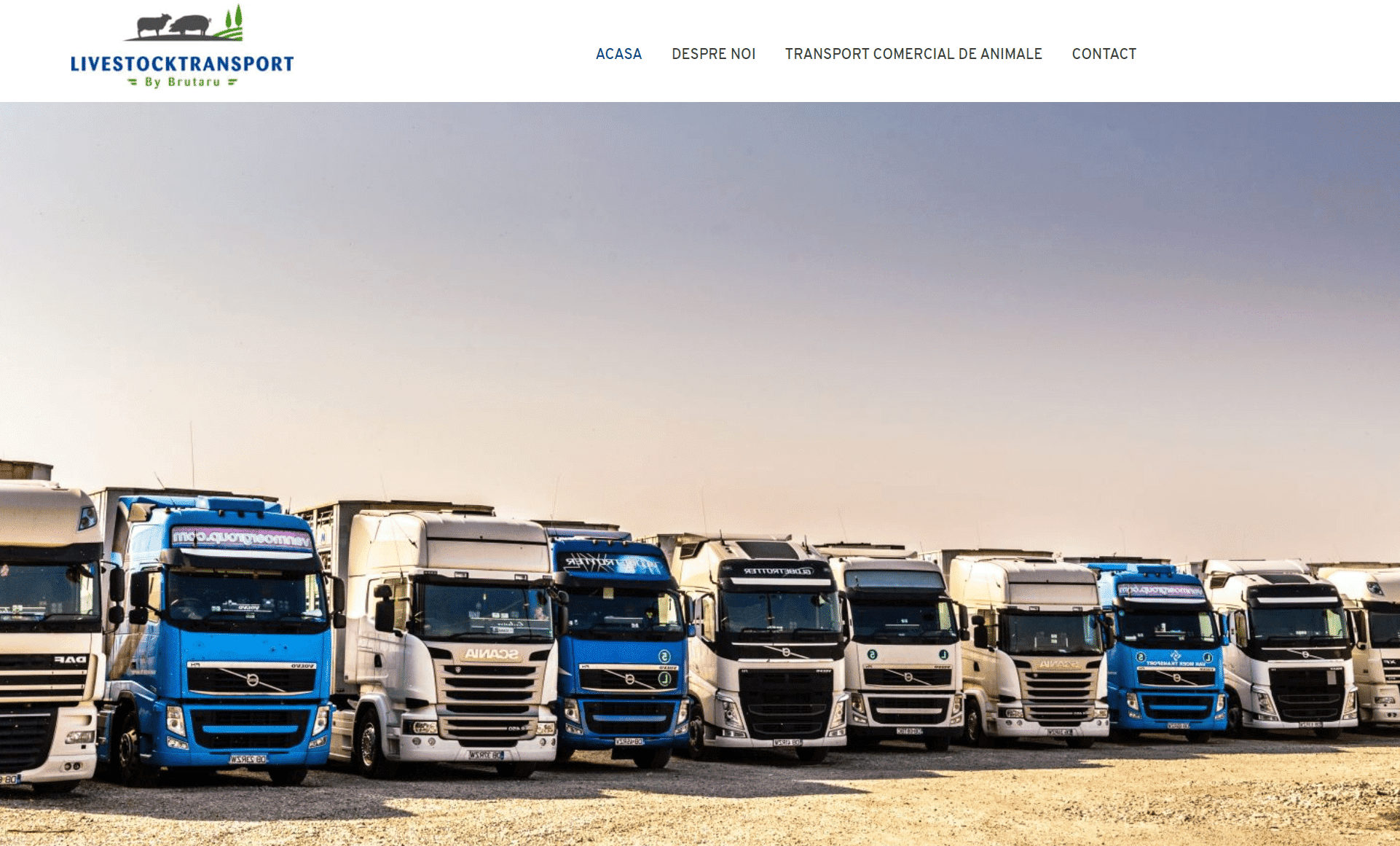 Firma de transport animale care duce animalele la destinatie in cele mai bune conditii!