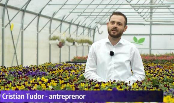 Microplantele – O afacere cu tot mai mare succes în România