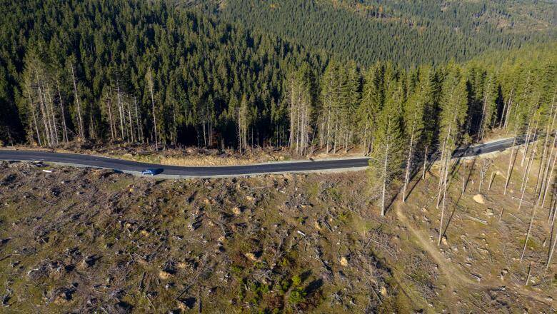 Cel mai ridicat nivel din istorie – 2,5 miliarde de euro