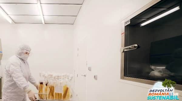 O companie sustenabila e o companie responsabila