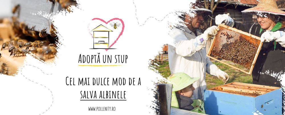 Pollenity, compania care digitalizează și susține industria apicolă, intră pe piața din România