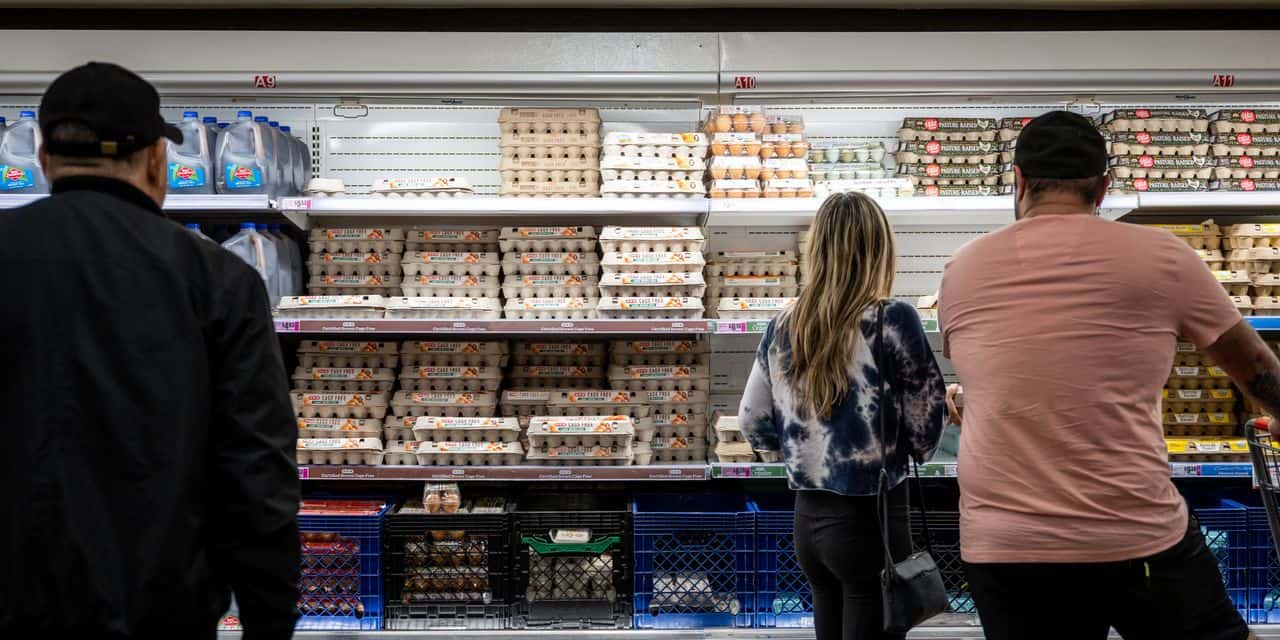 Prețurile ouălor și ale altor produse en-gros scad, arată IPP