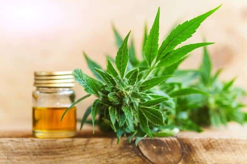 Beneficiile uleiului CBD