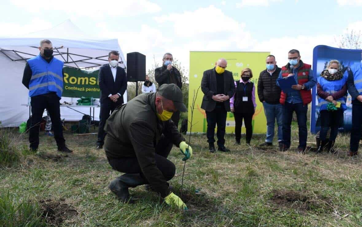 Fosta groapă de gunoi din Mogoșoaia împădurită cu ajutorul voluntarilor