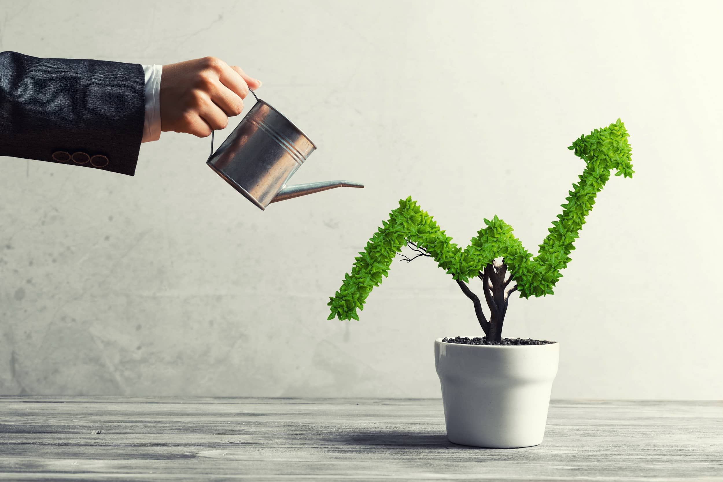 În ce preferă să investească românii?