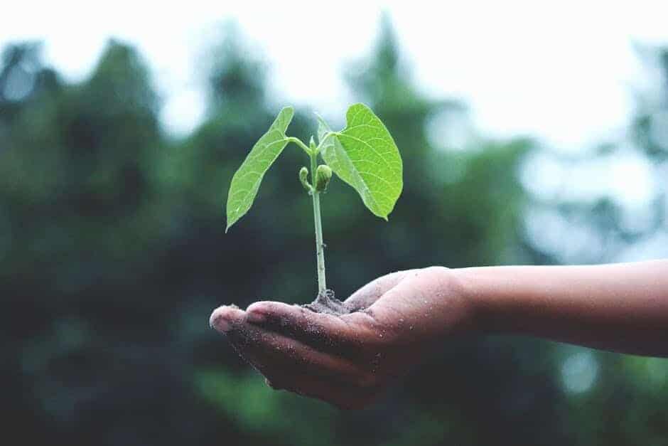 Ce afaceri ar trebui deschise în 2020?