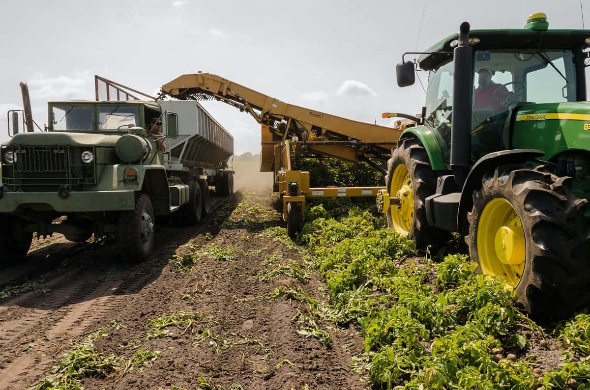 alege creditul agricol potrivit dezvoltarii afacerii tale