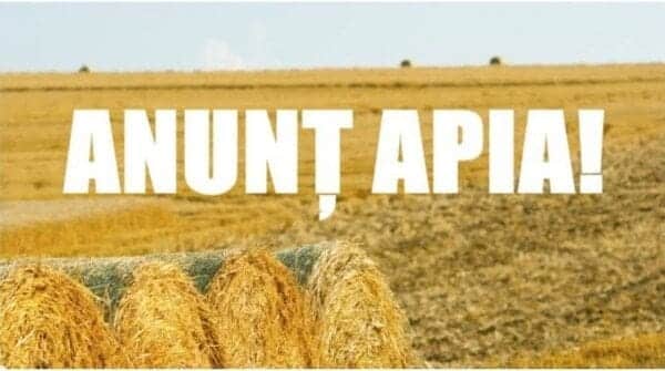 APIA plăteşte ajutorul de stat în sectorul creşterii animalelor