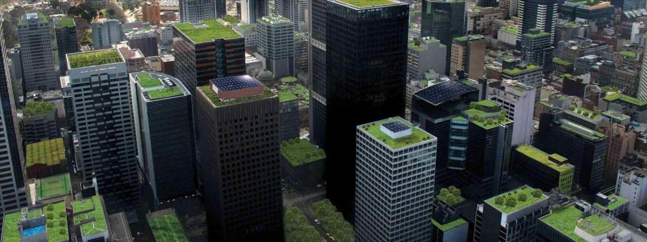 Acoperișurile verzi, cea mai nouă tendință în construcții, de la BMI România