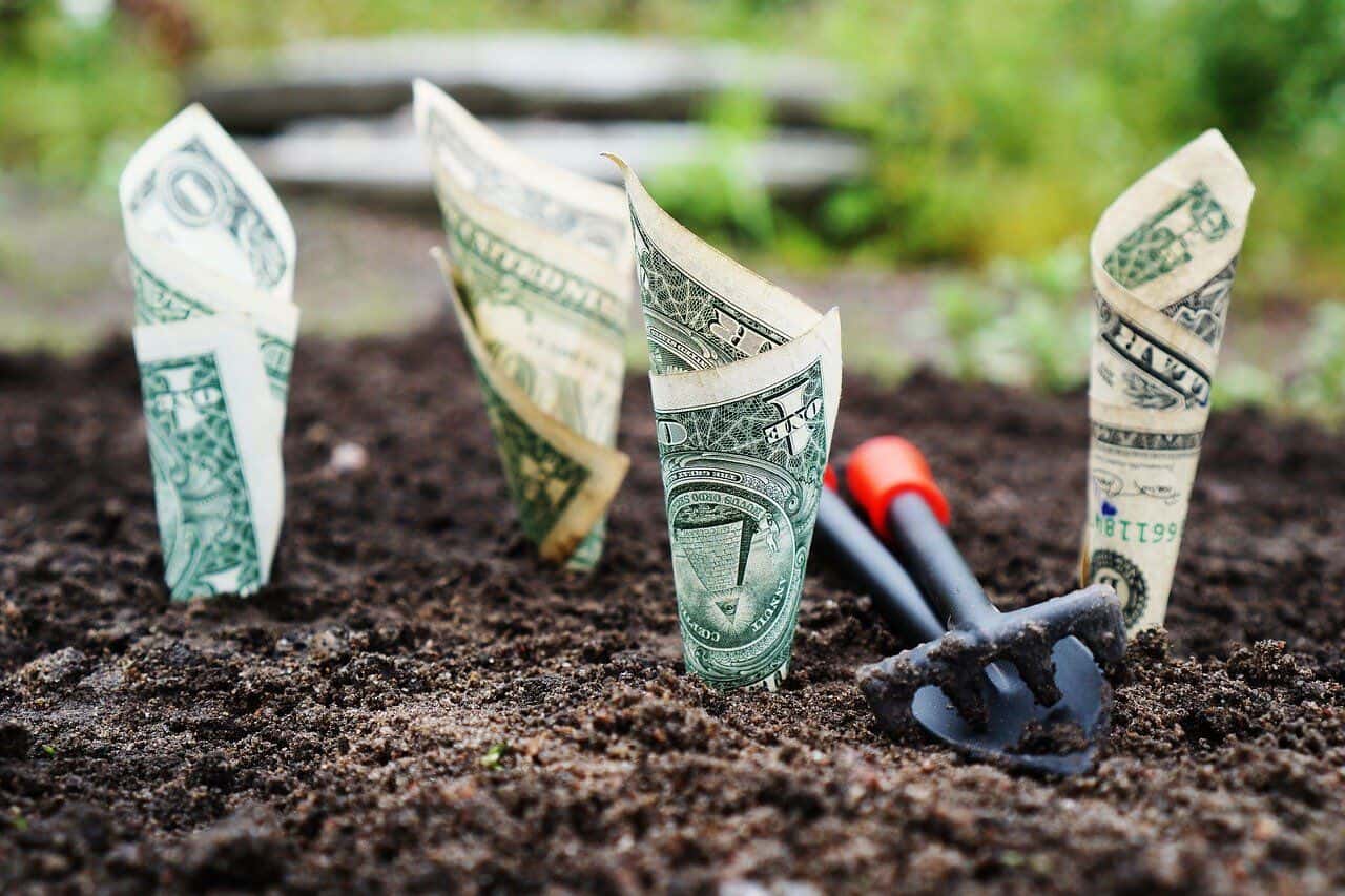 Fermierii pot depune cereri pentru obţinerea unei finanţări de 70% din valoarea primei de asigurare