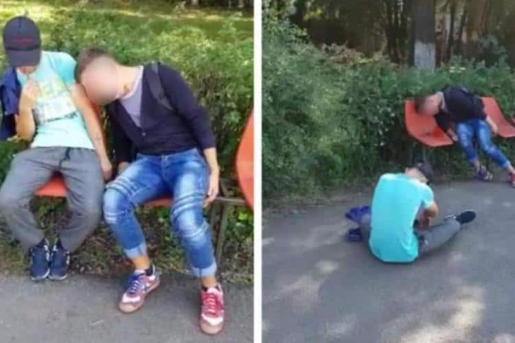 Consumul etnobotanicelor reprezintă un pericol mare și ascuns pentru tinerii din România