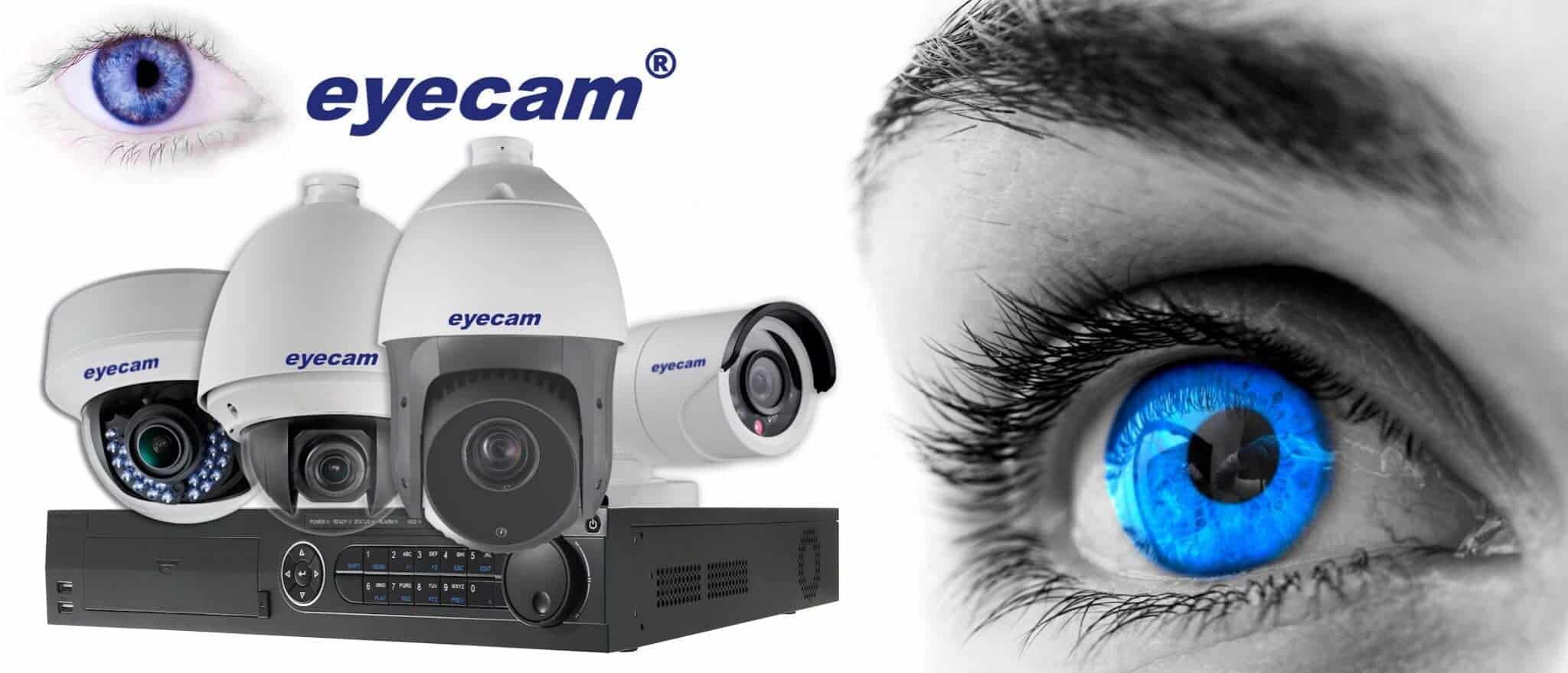 Cand este cazul sa apelam la camere IP ieftine?