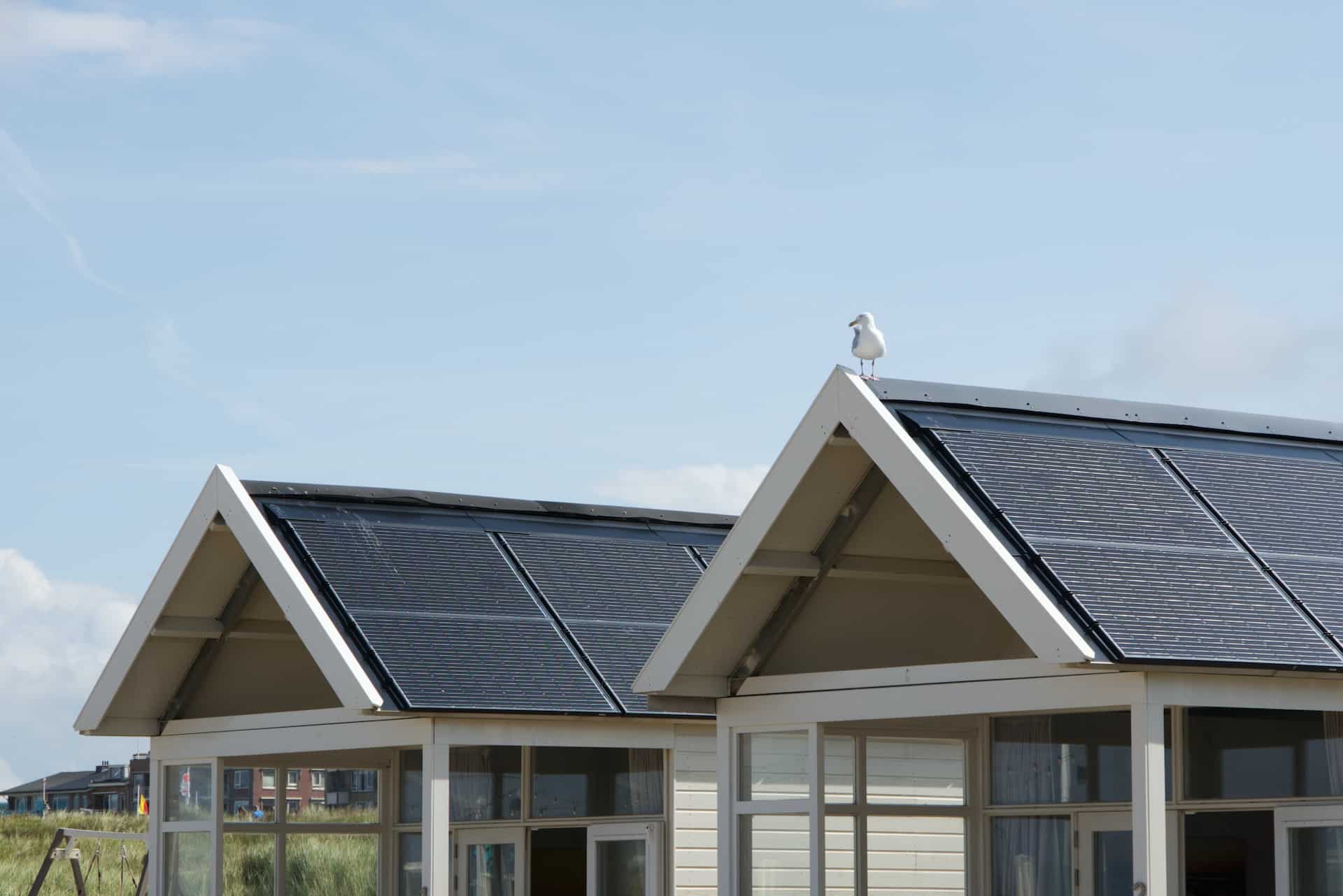 Cum să folosești energia de la soare cu autorul panourilor solare