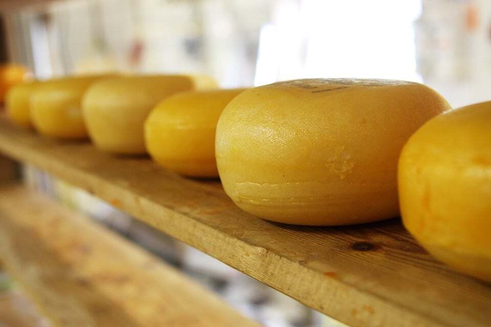 cheese 2785 960 720