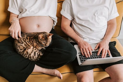 Cum să ai eficiență în ceea ce faci, muncind de acasă, și ce alternative ai