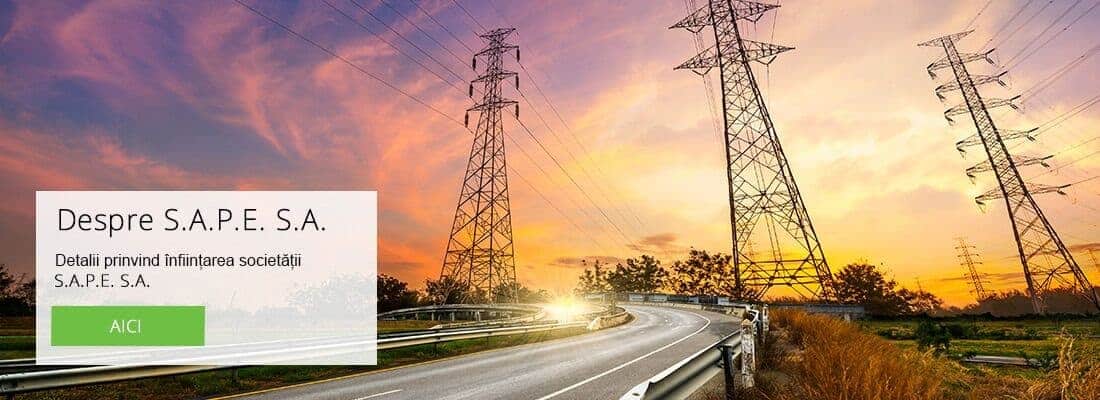 Guvernul a obţinut dividende suplimentare de la Enel în valoare totală de 502 milioane de lei