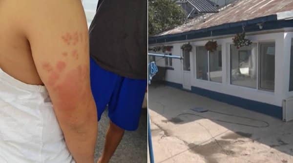 DGASPC Giurgiu recunoaşte că a avut probleme cu ploşniţe în casele de copii