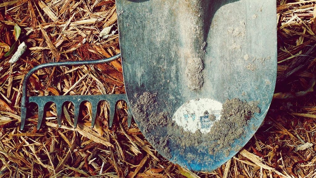 Garda Civilă spaniolă a destructurat o reţea care exploata muncitori români şi moldoveni