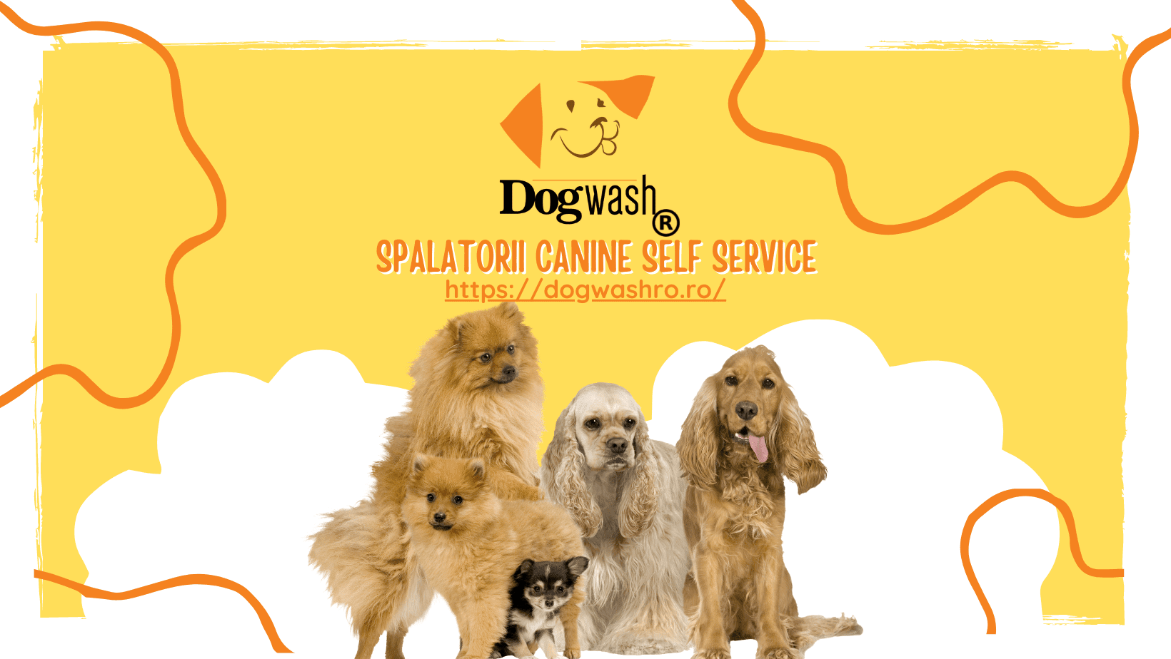 Spălare self-service pentru câini DogWash – noul trend de francize
