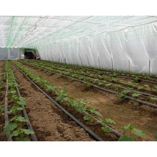 Opteaza pentru folia ideala pentru solarul tau