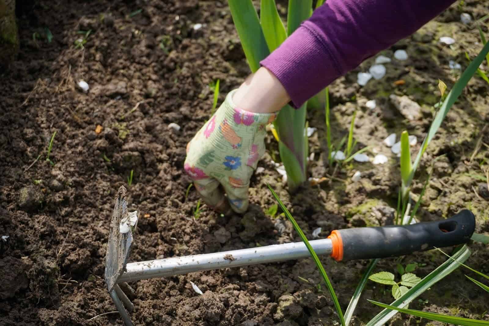 Cum scapi de buruienile din grădină? 4 metode eficiente pentru o grădină perfectă