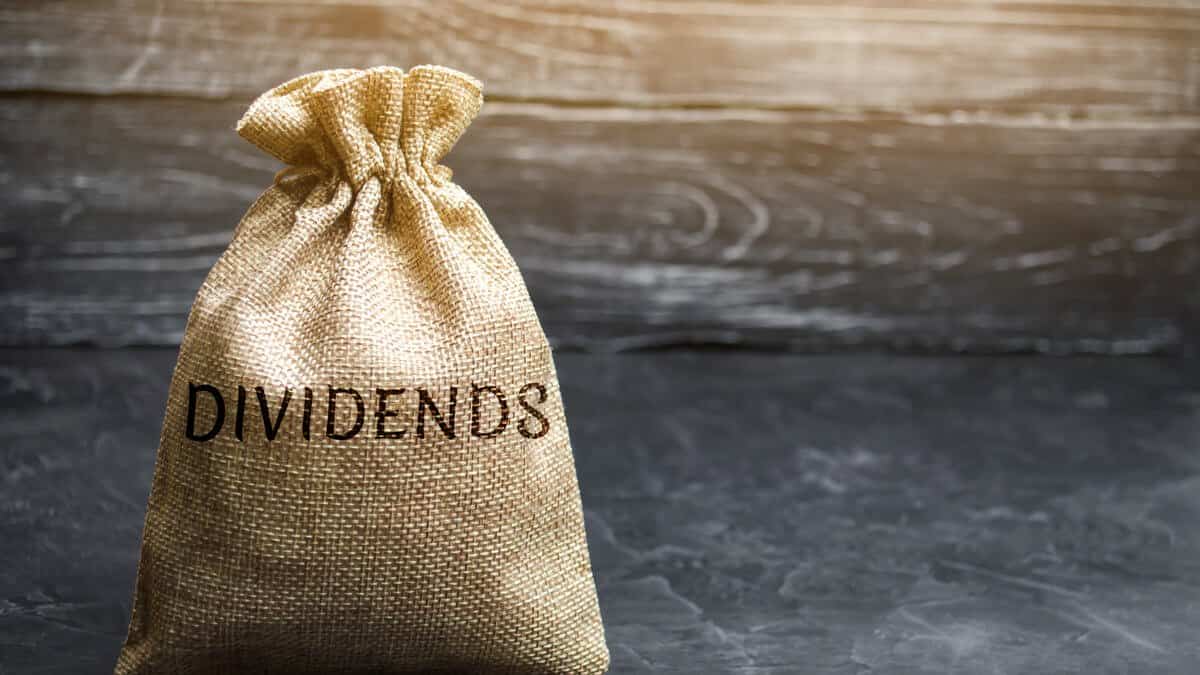 Ce sunt și cum sunt clasificate dividendele unei companii