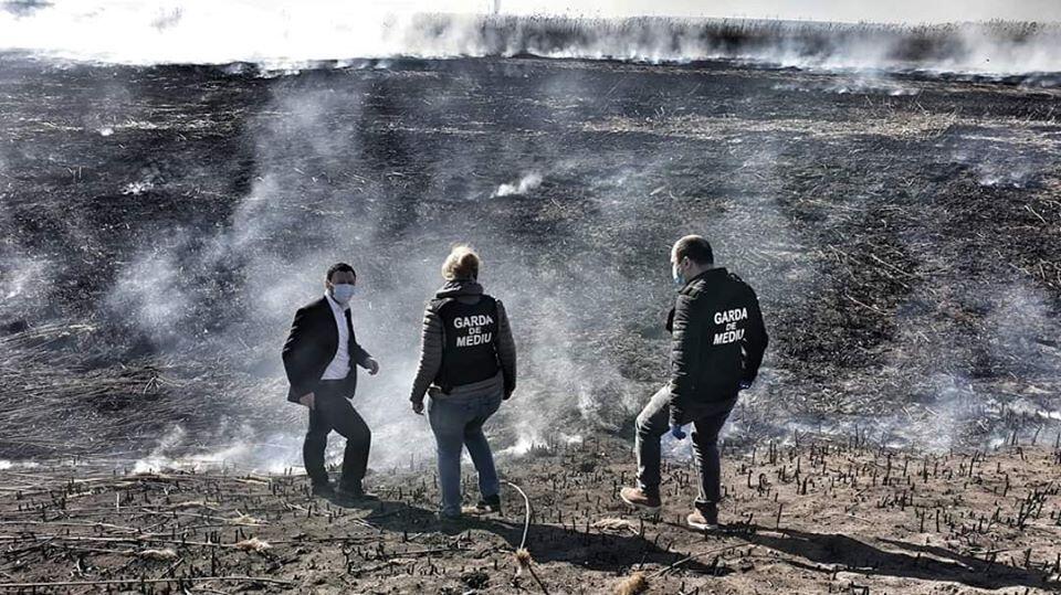 Temperaturile extreme au favorizat incendii în care au ars 1.207 de hectare în România