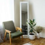 interior decor with mirror potted plant