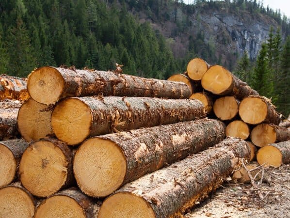 Încă se scumpesc masiv materiile prime pentru construcții