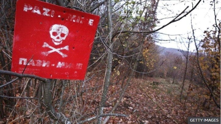 Cum se alătura albinele dronelor pentru a detecta minele ascunse în pământ