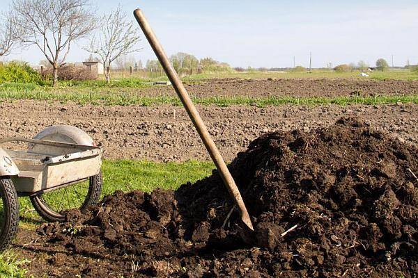 Ministerul Mediului: Nouă comune vor beneficia, anul viitor, de un sistem integrat de management al gunoiului de grajd