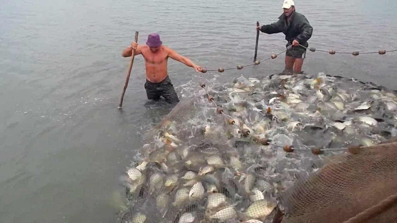 Pescuitul la năvod va fi suspendat de anul viitor şi circa 40% din bărcile din lemn folosite de cei aproape 700 de pescari îşi vor pierde posibilitatea de a-şi desfăşura activitatea,