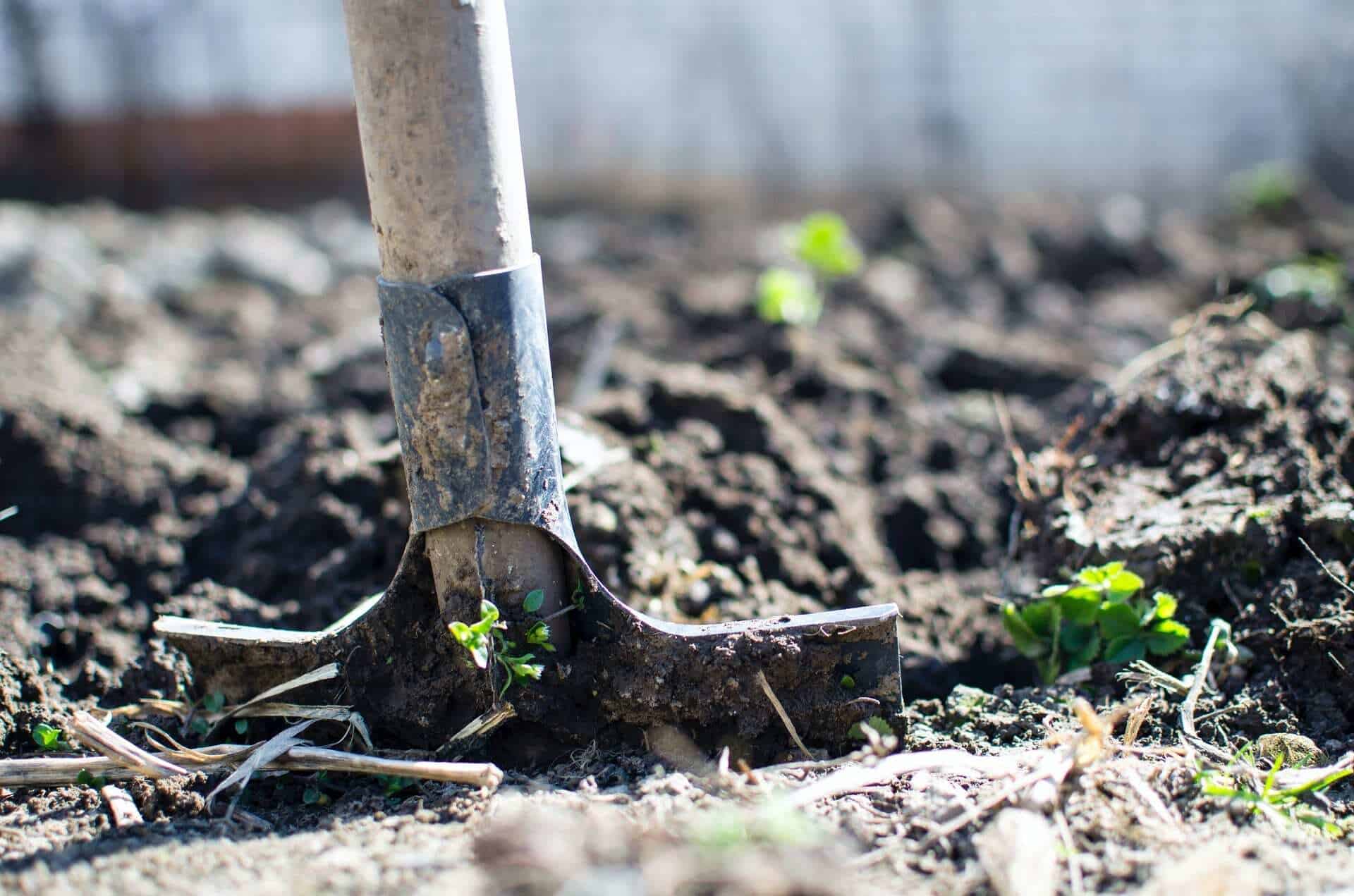 Activități agricole care se desfășoară odată cu venirea primăverii