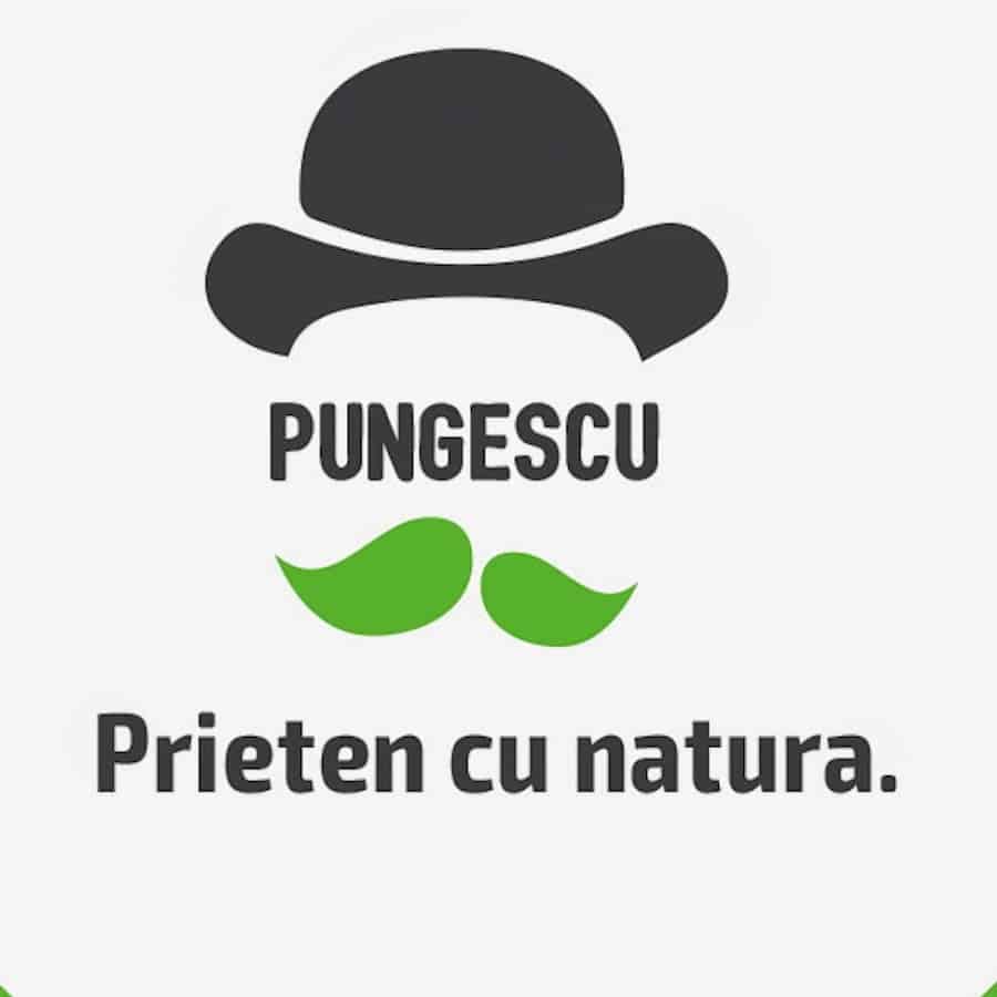 Ambalajele biodegradabile și compostabile realizate din amidon de porumb nu prezintă niciun pericol pentru mediul înconjurător