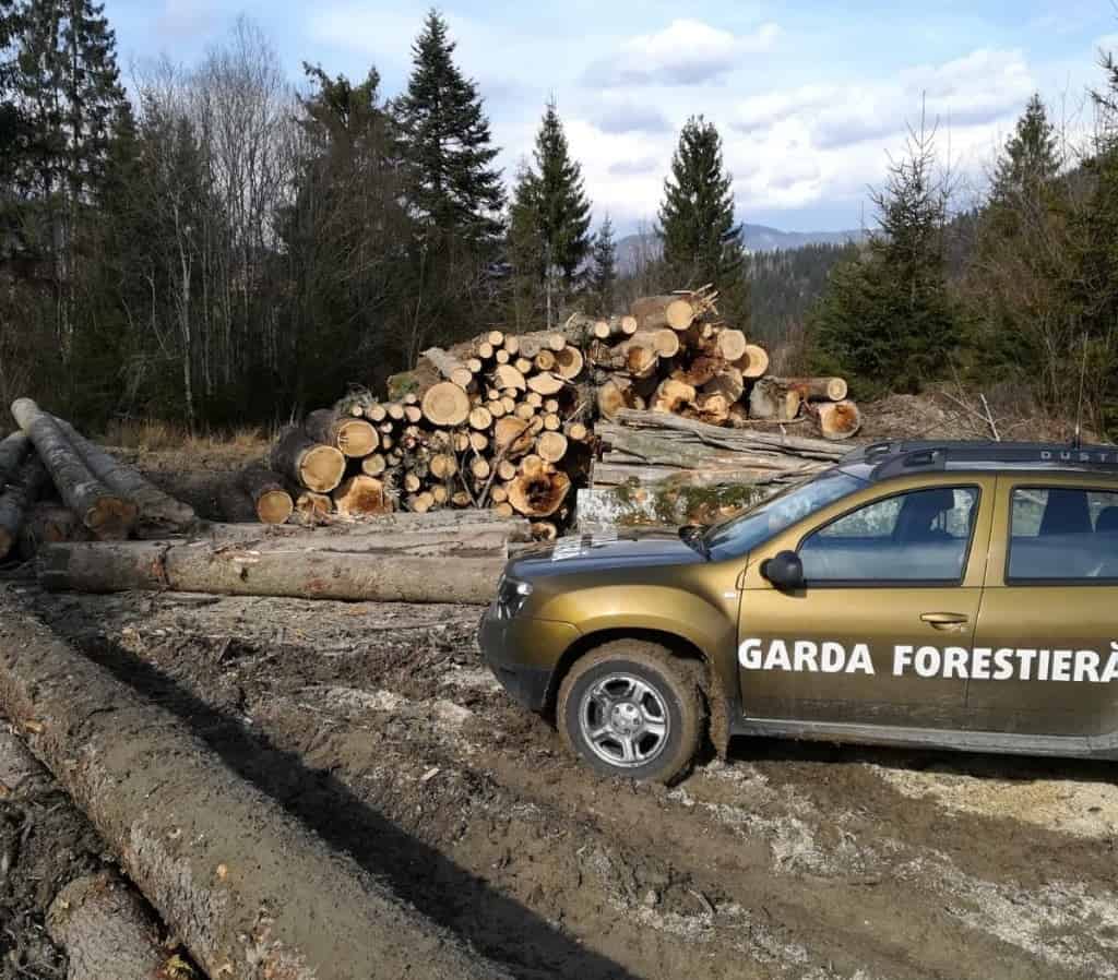 Guvernul a decis organizarea, funcționarea și numărul de posturi pentru personalul Gărzii Forestiere Naționale