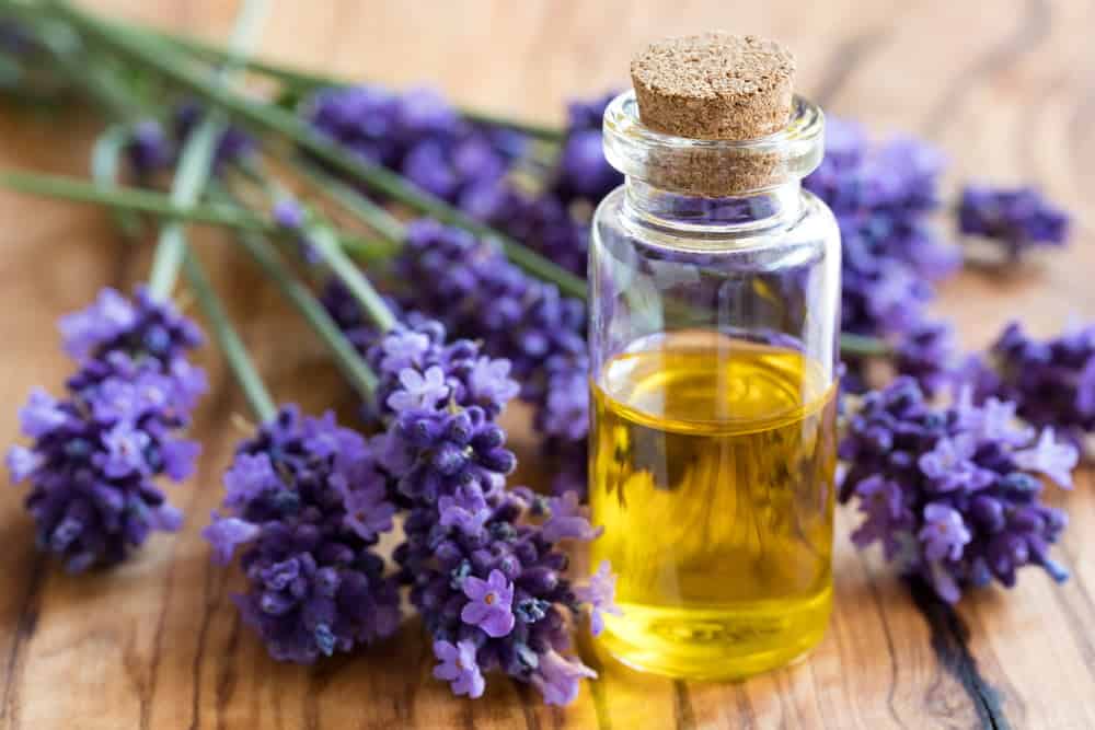 7 ingrediente naturale folosite în produsele cosmetice